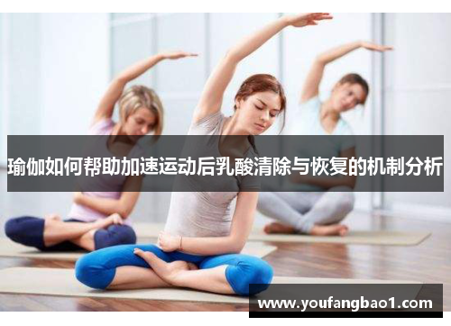 瑜伽如何帮助加速运动后乳酸清除与恢复的机制分析